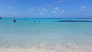 Read more about the article Puerto Morelos: feels like coming home