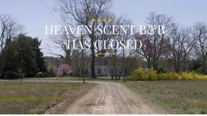 Read more about the article A new start