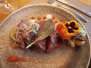 Read more about the article A day in Arles