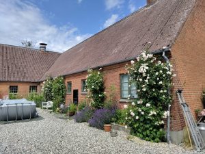 Read more about the article Denmark!