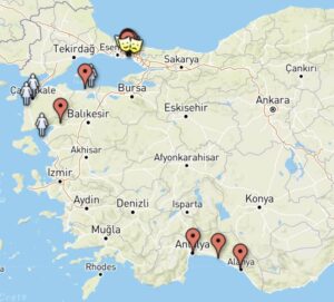 Read more about the article End of year news